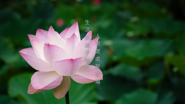 麻布束口收纳袋 (荷花款式)_NOVA