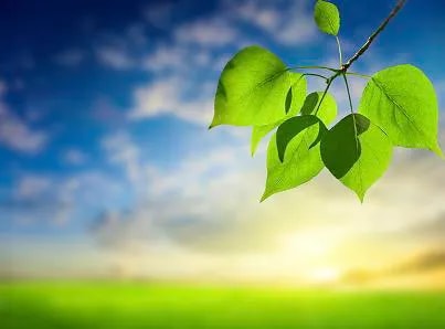 身心靈健康概論