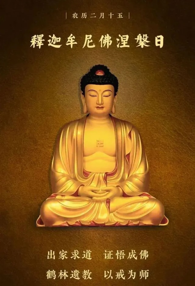 覺照莊嚴：攝影禪 - Vanessa Test